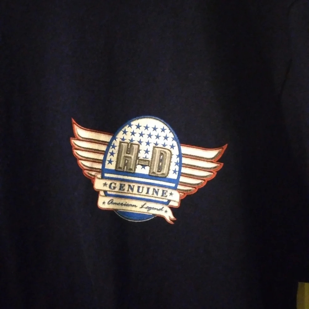 Harley-Davidson tee (2001) medium EUC - Picture 2 of 6